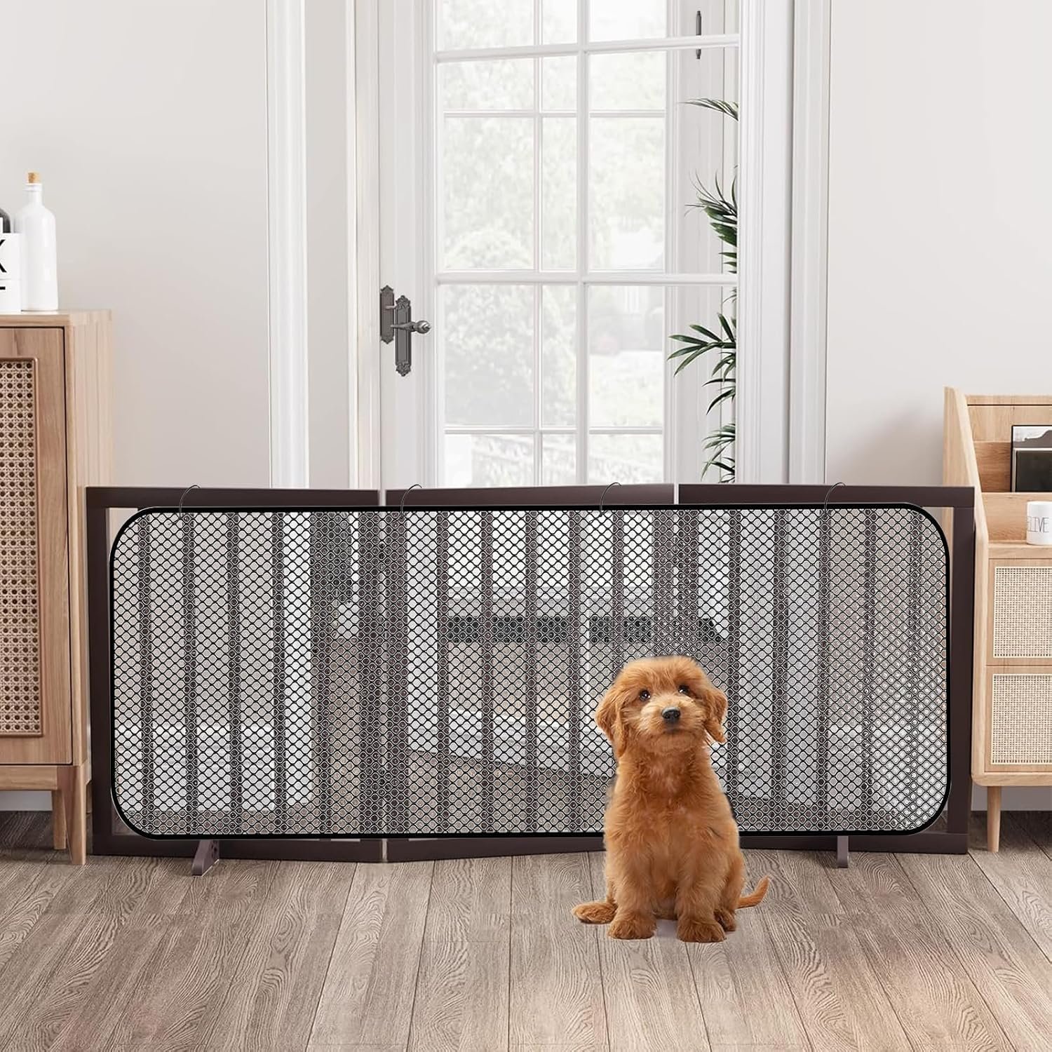 Kids & Pets Safety